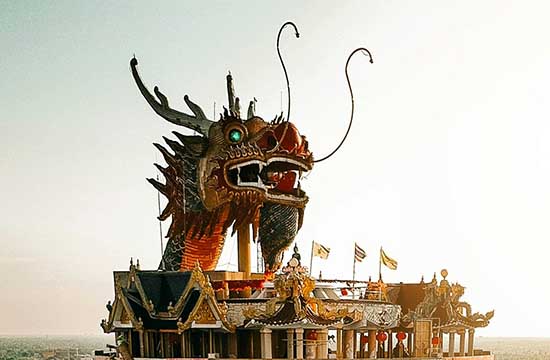 属龙人最吃香的三个职业插图1